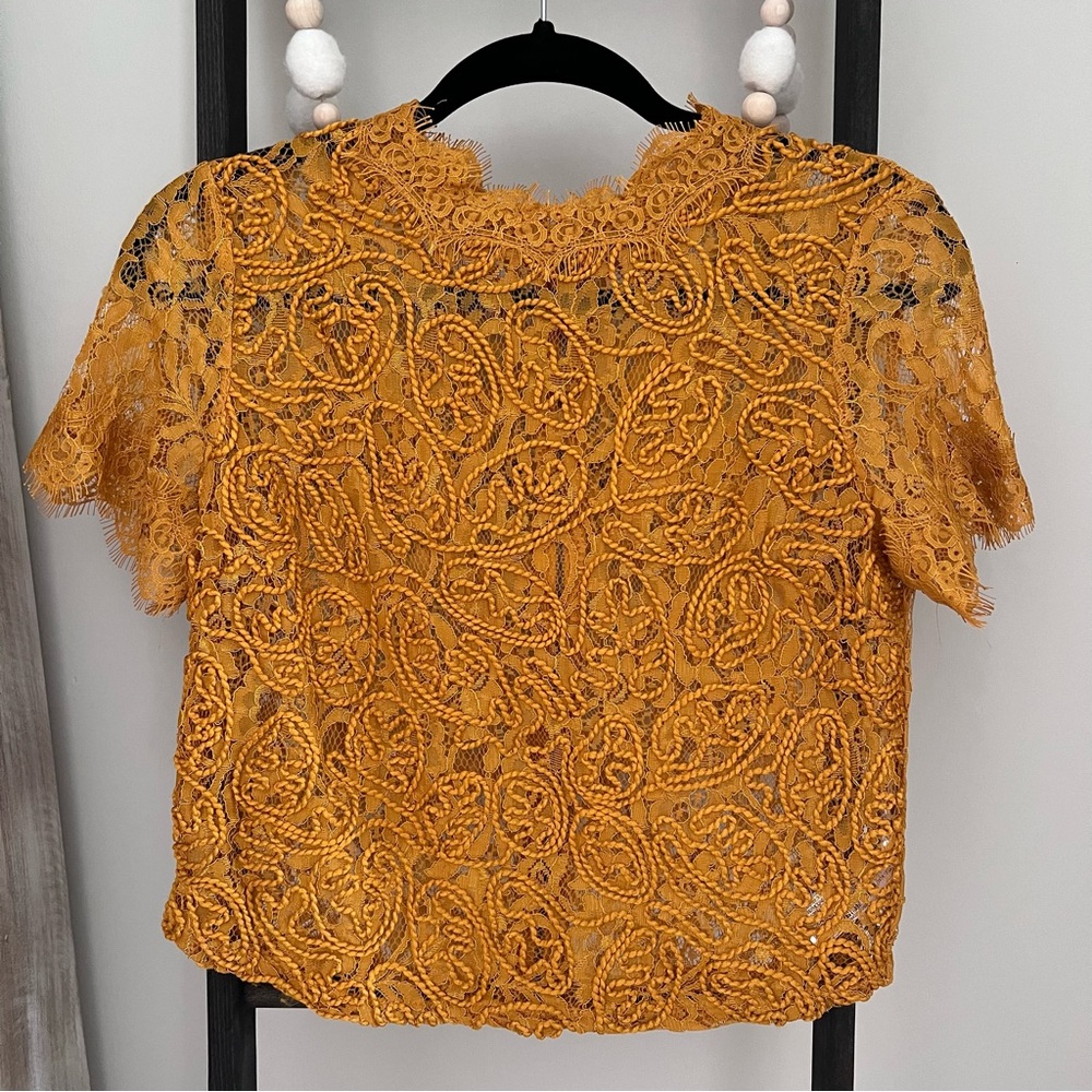 ZARA Yellow Sheer Embroidered Lace Cropped Top